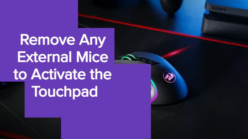 Remove Any External Mice to Activate the Touchpad