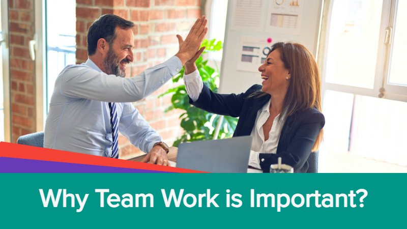 Why Team Work is Important in Business